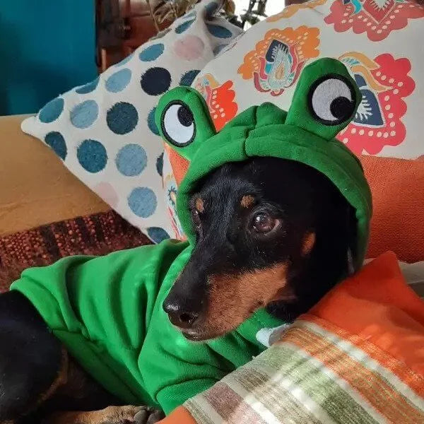 dachshund-frog-hoodie-doxie.us