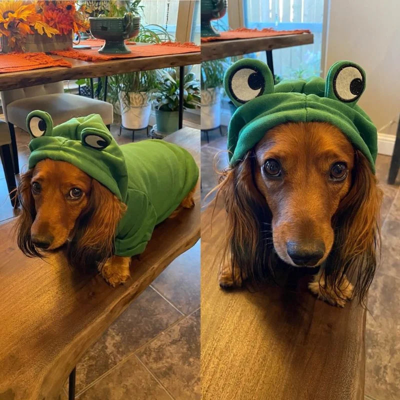 dachshund-frog-hoodie-doxie.us