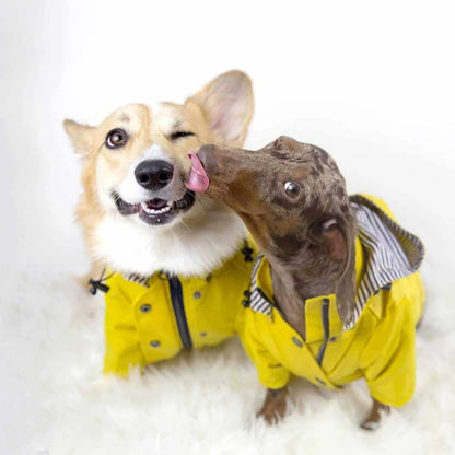RainWiener Dachshund Raincoat