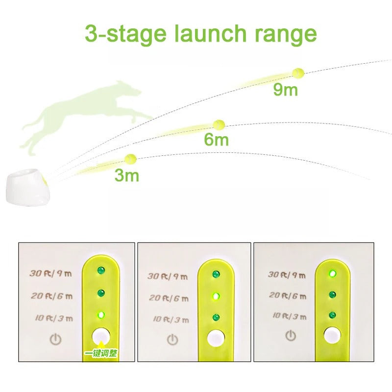 Dachshund ball launcher best sale