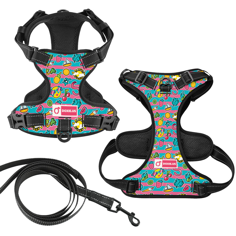 Franz -  No-Pull Dachshund Dog Harness