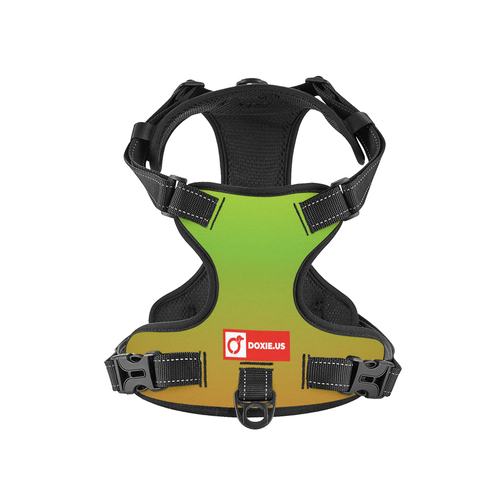 Oskar -  No-Pull Dachshund Dog Harness