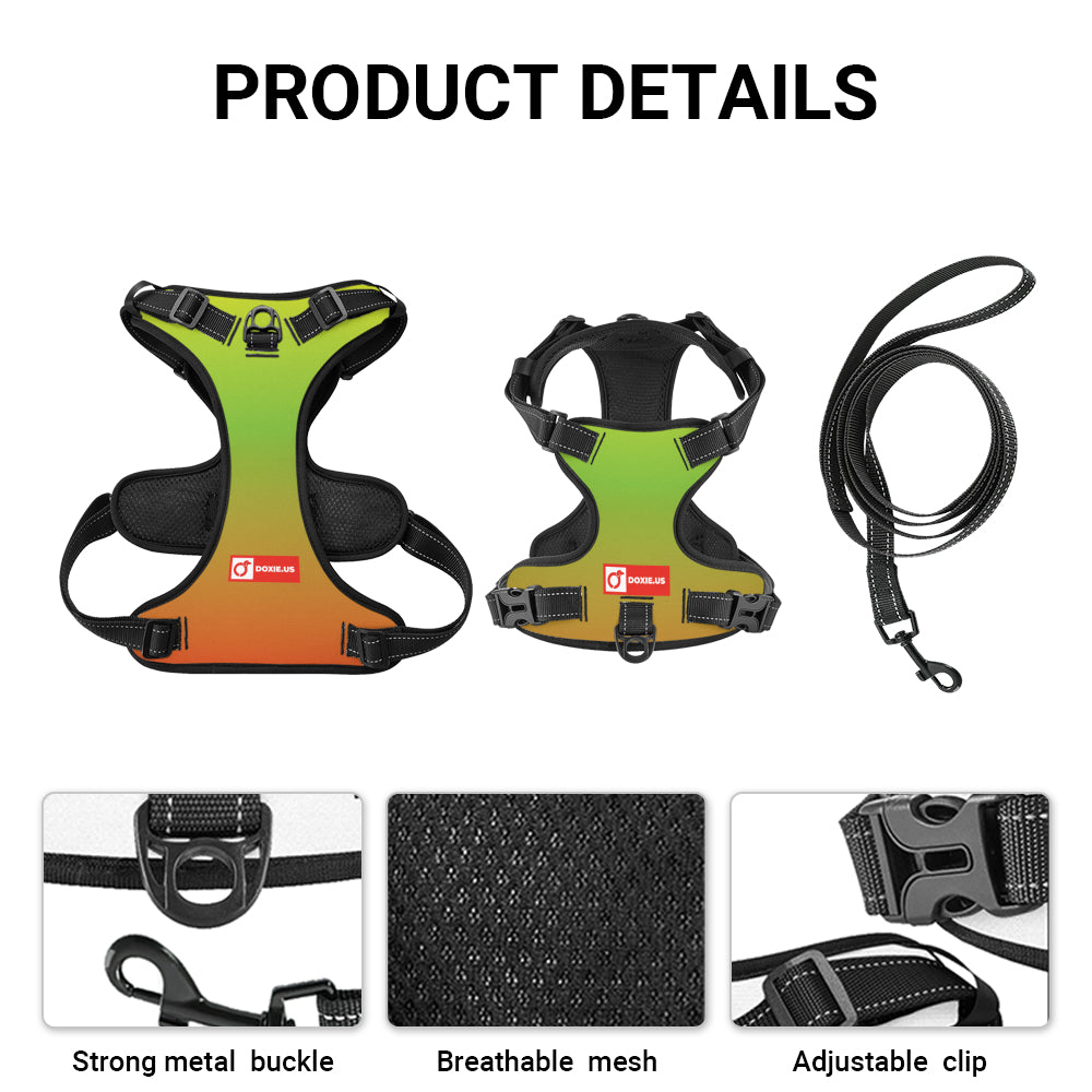 Oskar -  No-Pull Dachshund Dog Harness