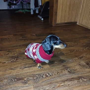 Dachshund-Winter-Sweater-Christmas Costume-doxie.us