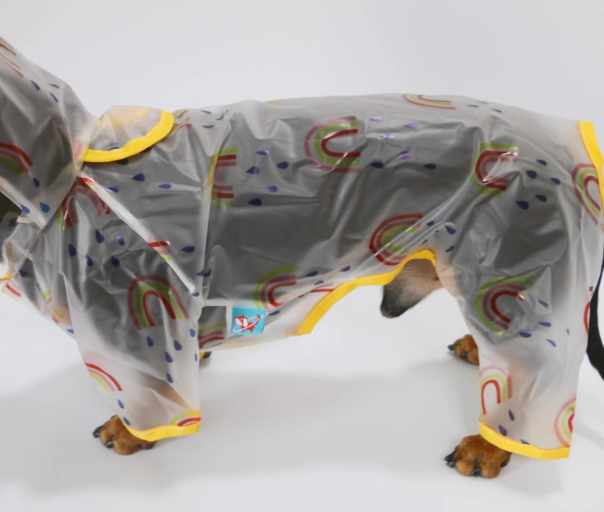 Dachshund Raincoat with Hat – Four-Legged Transparent Rain Jacket