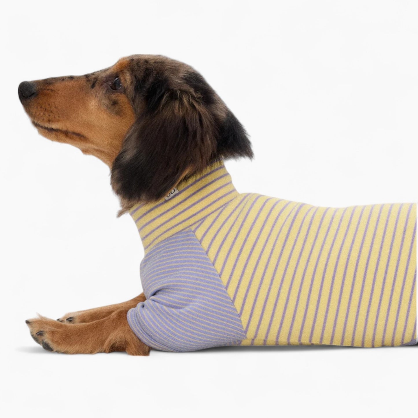 Dachshund Cotton Sweater – Warm Elastic Striped Outfit