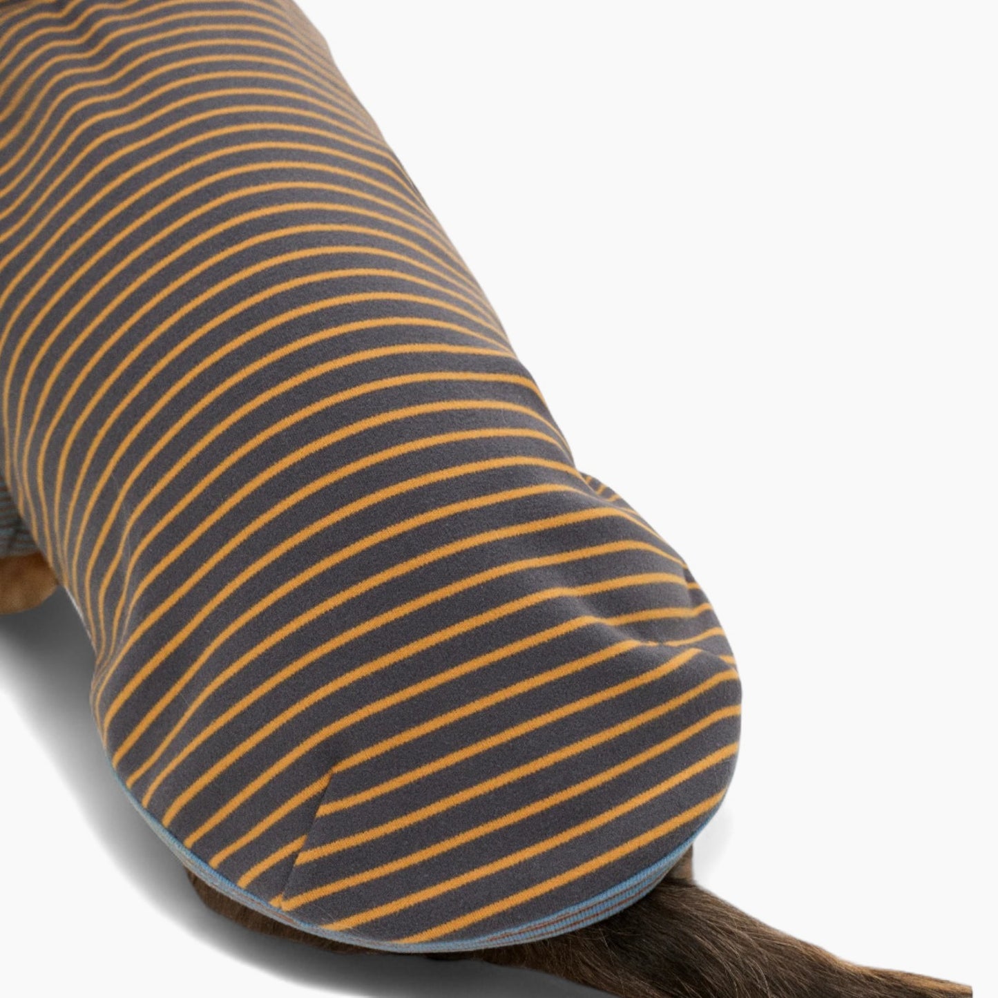 Dachshund Cotton Sweater – Warm Elastic Striped Outfit