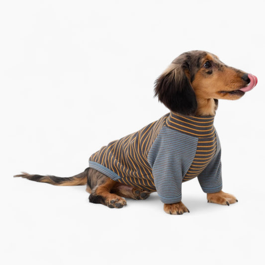 Dachshund Cotton Sweater – Warm Elastic Striped Outfit