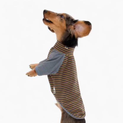 Dachshund Cotton Sweater – Warm Elastic Striped Outfit