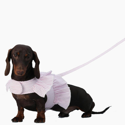 PawPet Dachshund Lace Ruffle Harness – Soft Breathable Striped Vest with Adjustable Velcro