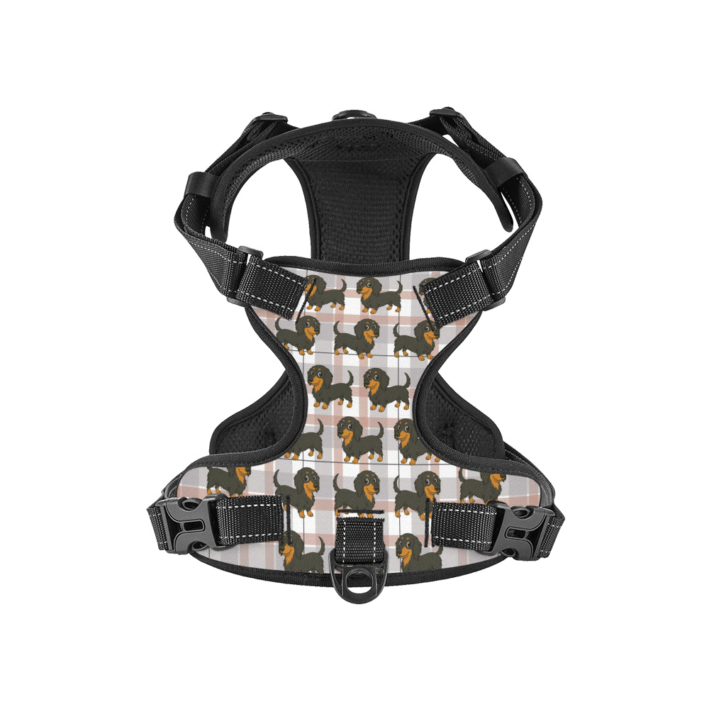 Thistle -  Personalized No-Pull Dachshund Dog Harness