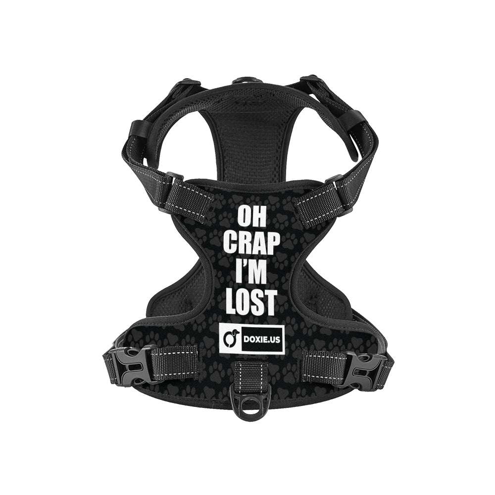 Cloud  -  Personalized No-Pull Dachshund Dog Harness