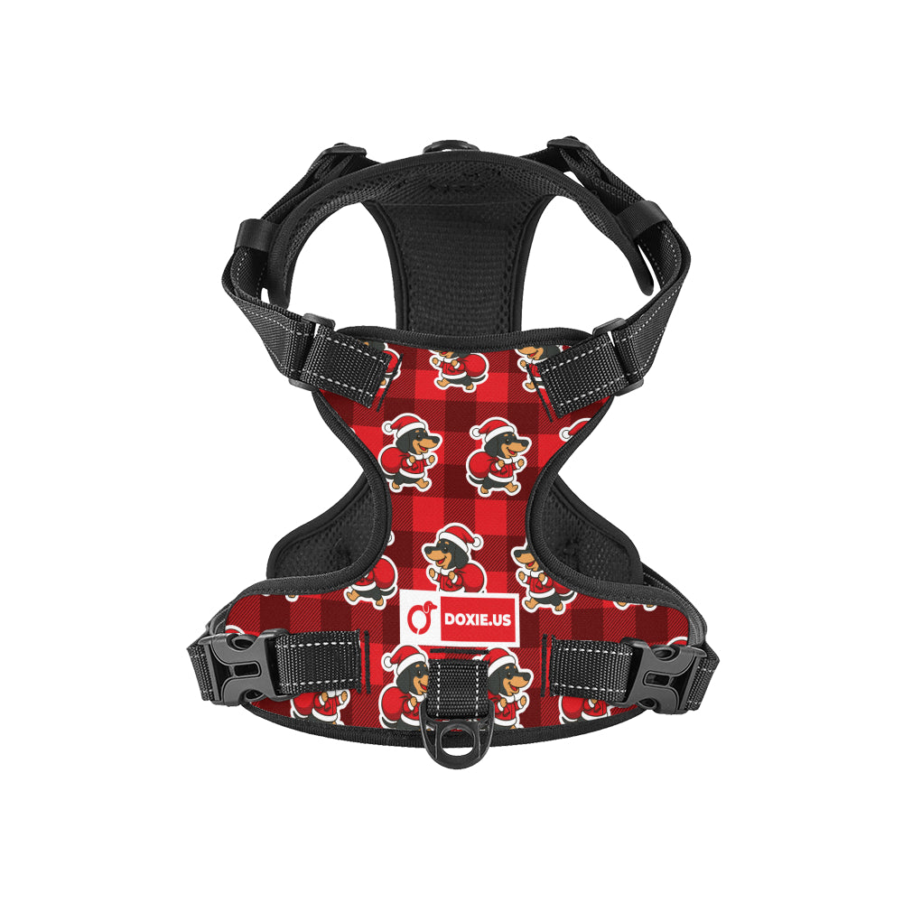 Tom -  No-Pull Dachshund Dog Harness