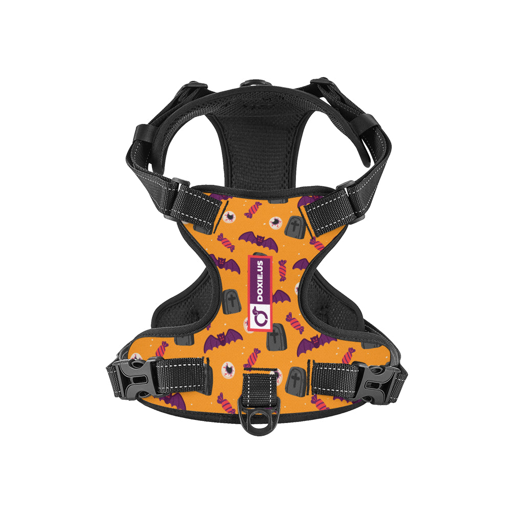 Maggie -  No-Pull Dachshund Dog Harness