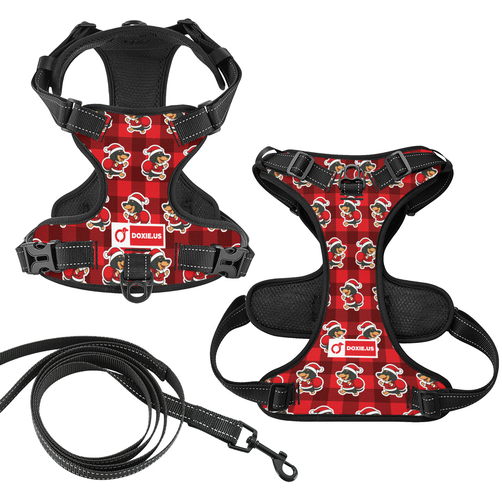 Tom -  No-Pull Dachshund Dog Harness