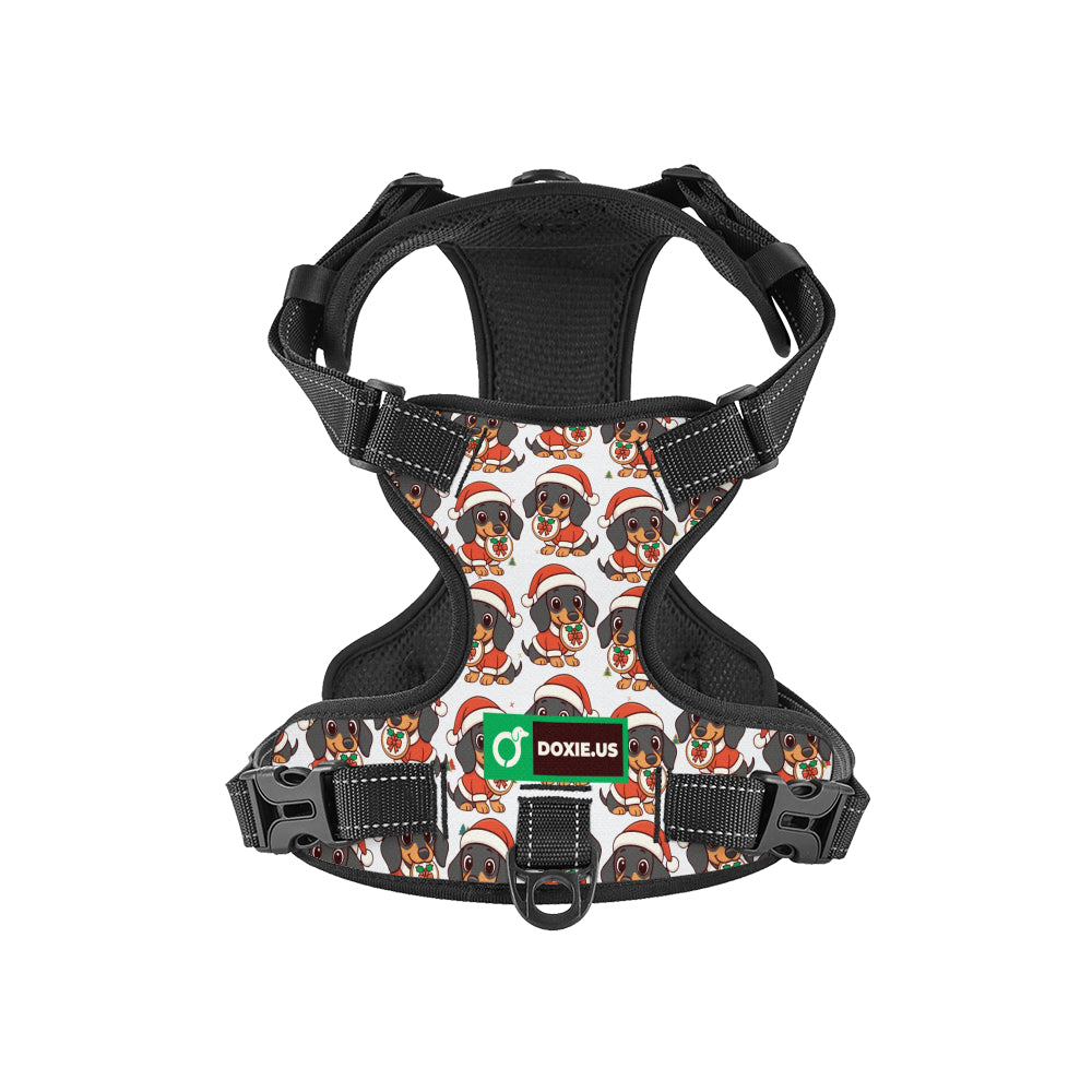 Kevin -  No-Pull Dachshund Dog Harness