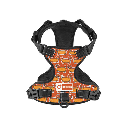 Monty -  No-Pull Dachshund Dog Harness