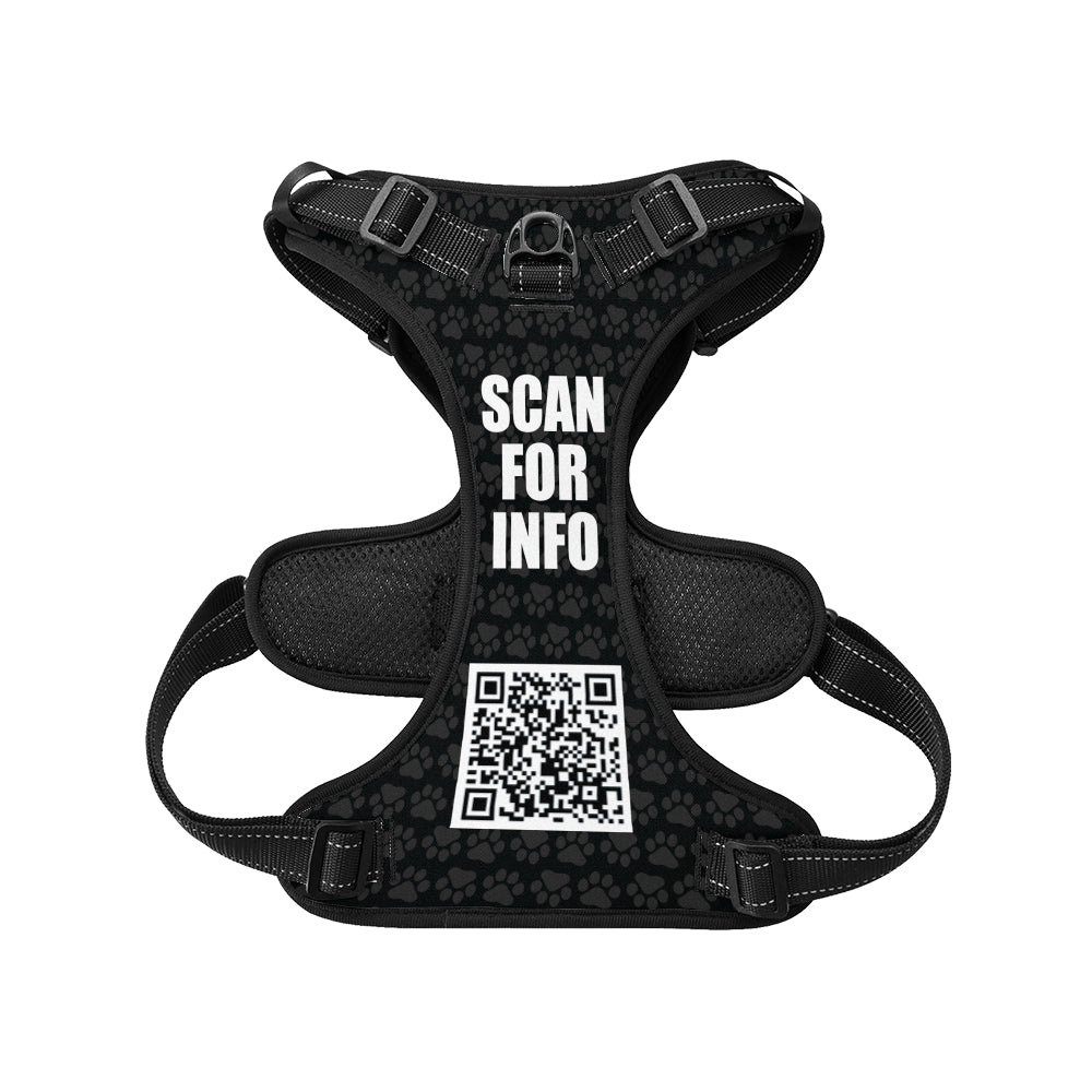 Cloud  -  Personalized No-Pull Dachshund Dog Harness