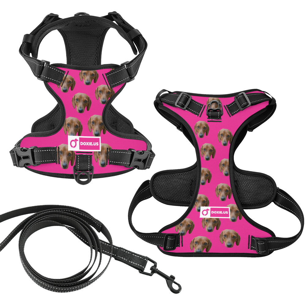 Gunner -  Personalized No-Pull Dachshund Dog Harness