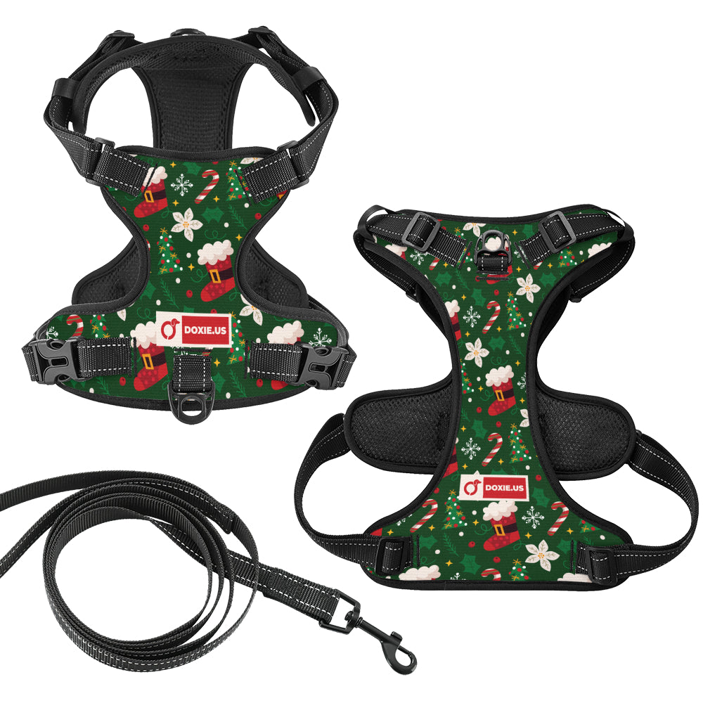 Birdie -  No-Pull Dachshund Dog Harness