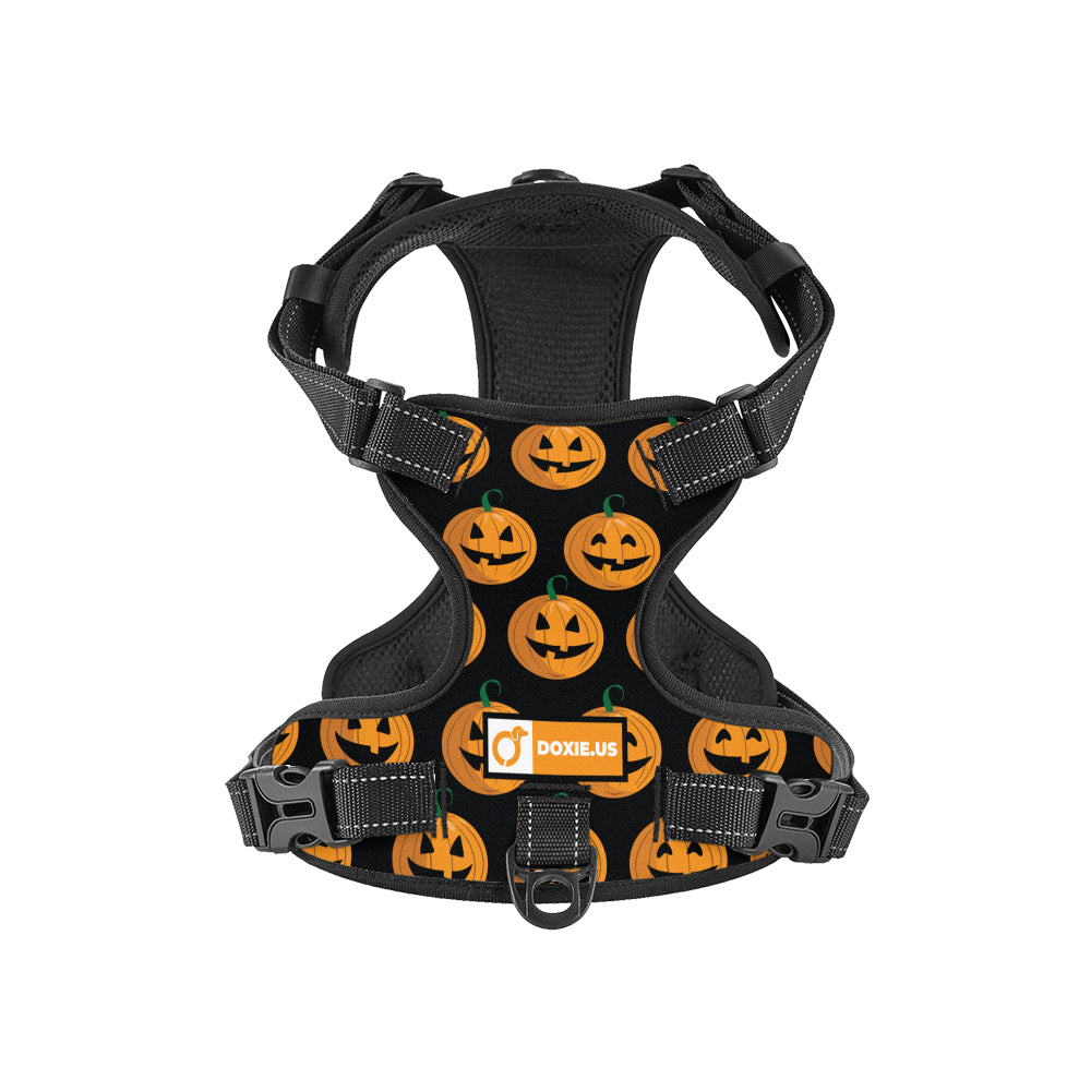 Stella -  No-Pull Dachshund Dog Harness