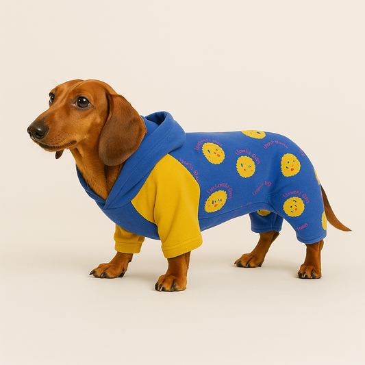 Dachshund Four-Legged Hoodie – Cozy Winter Sweater for Doxies