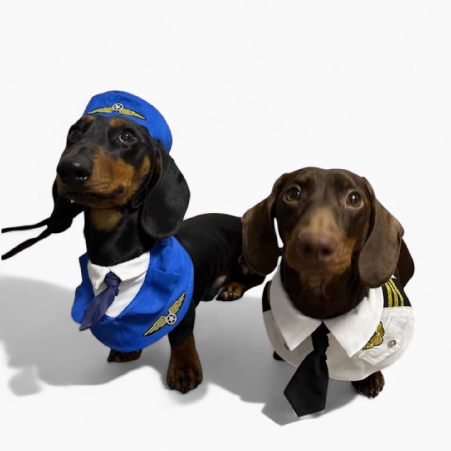 CaptainPaws Dachshund Pilot Costume – Halloween Cosplay Transformation Outfit