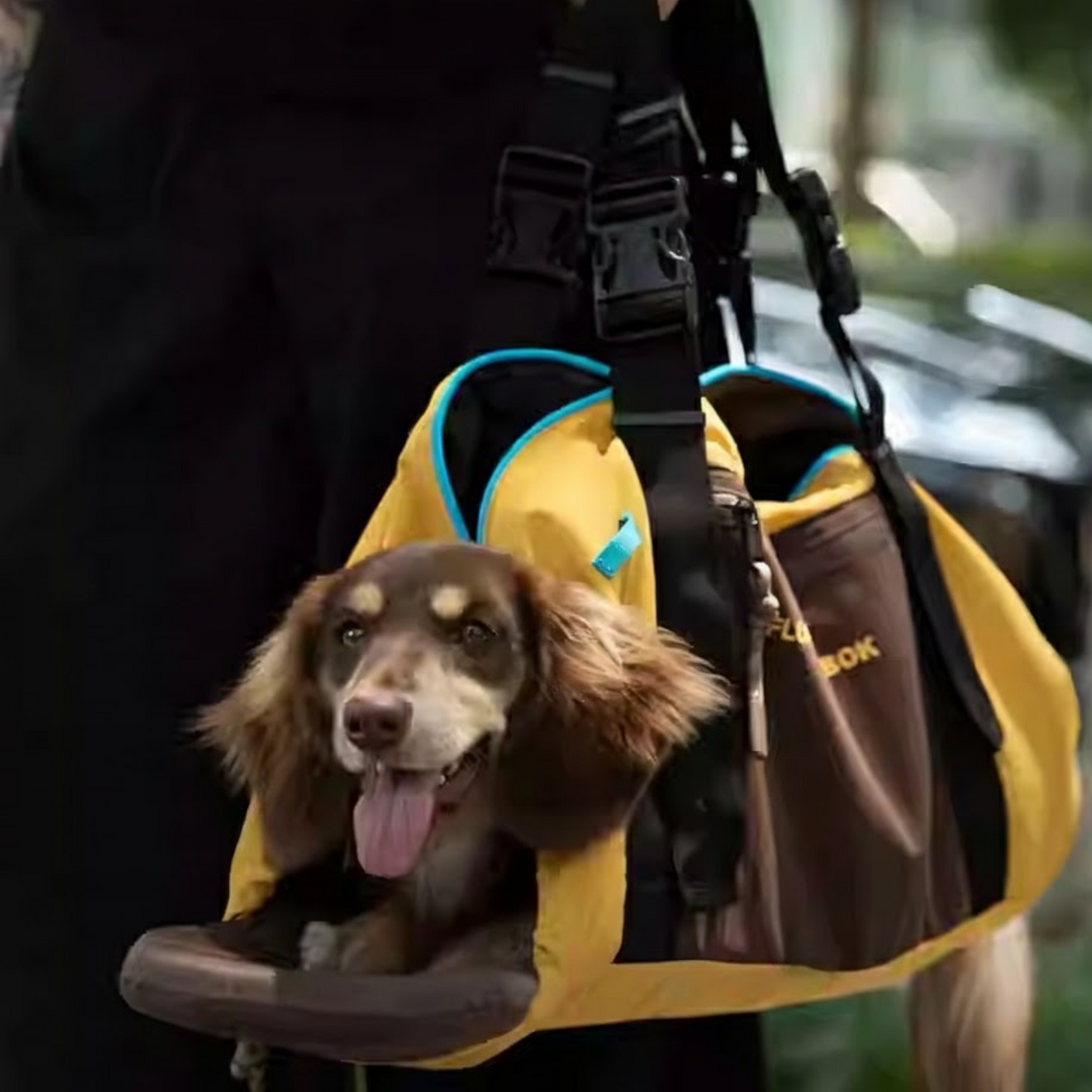 DoxiPack Dachshund Carry Bag – Luxury Travel Pod Shoulder Backpack