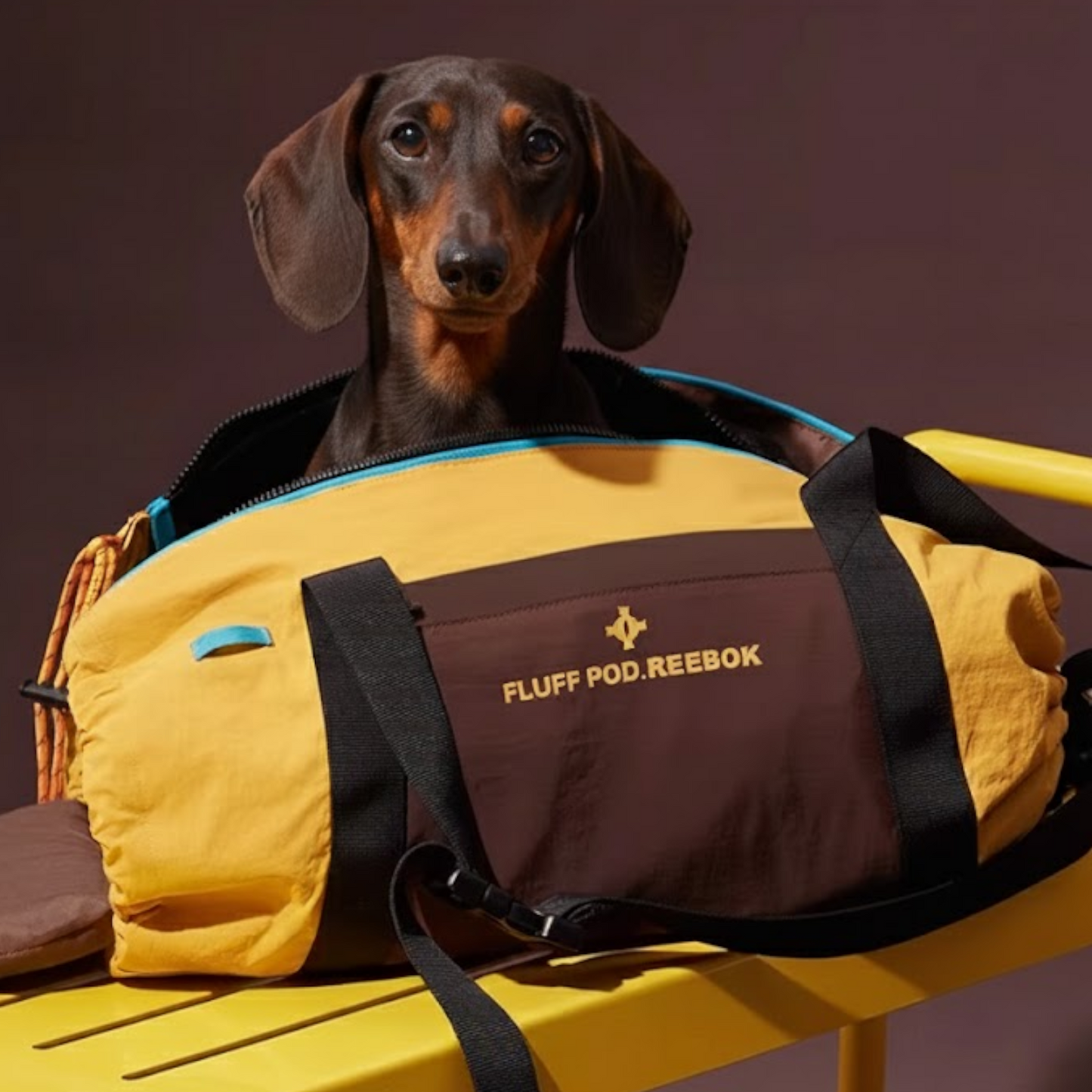 DoxiPack Dachshund Carry Bag – Luxury Travel Pod Shoulder Backpack