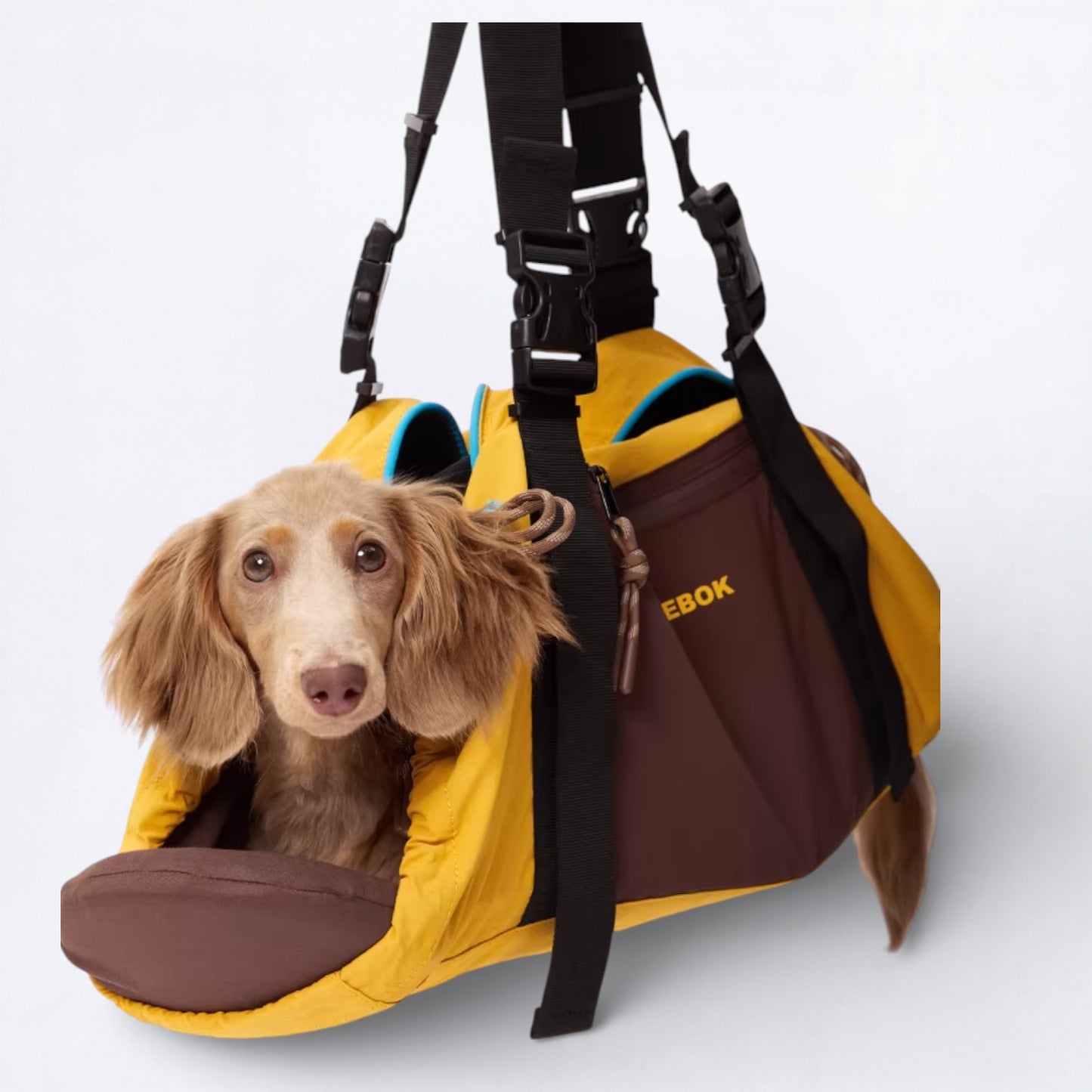 DoxiPack Dachshund Carry Bag – Luxury Travel Pod Shoulder Backpack