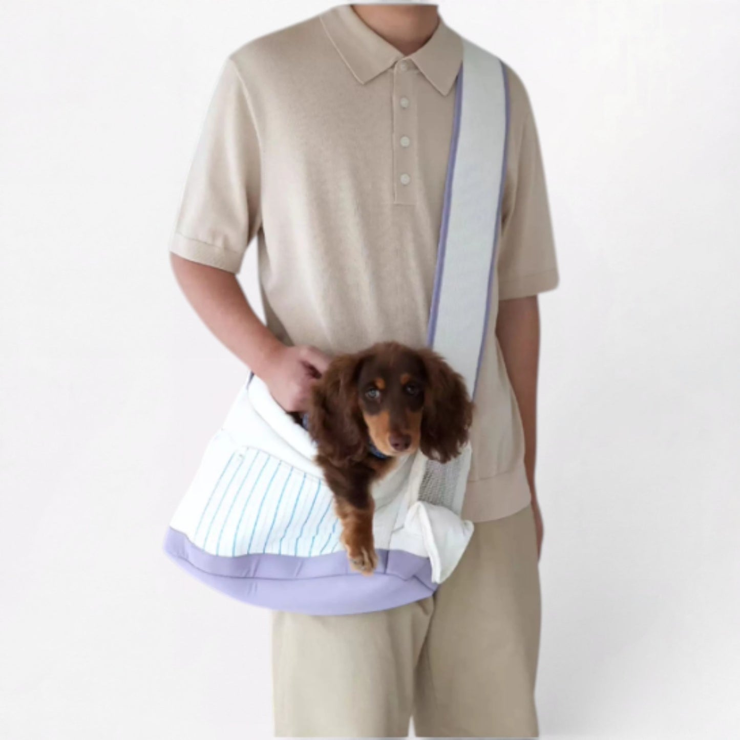 DachiGo Dachshund Outing Carrier – Korean Style Crossbody Bag for Small Dogs