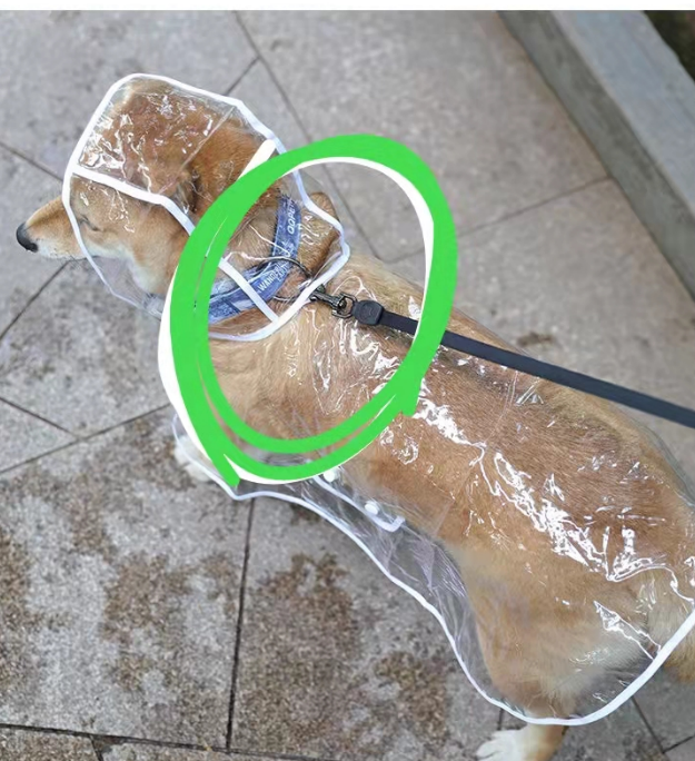 RainCoat for Dachshunds