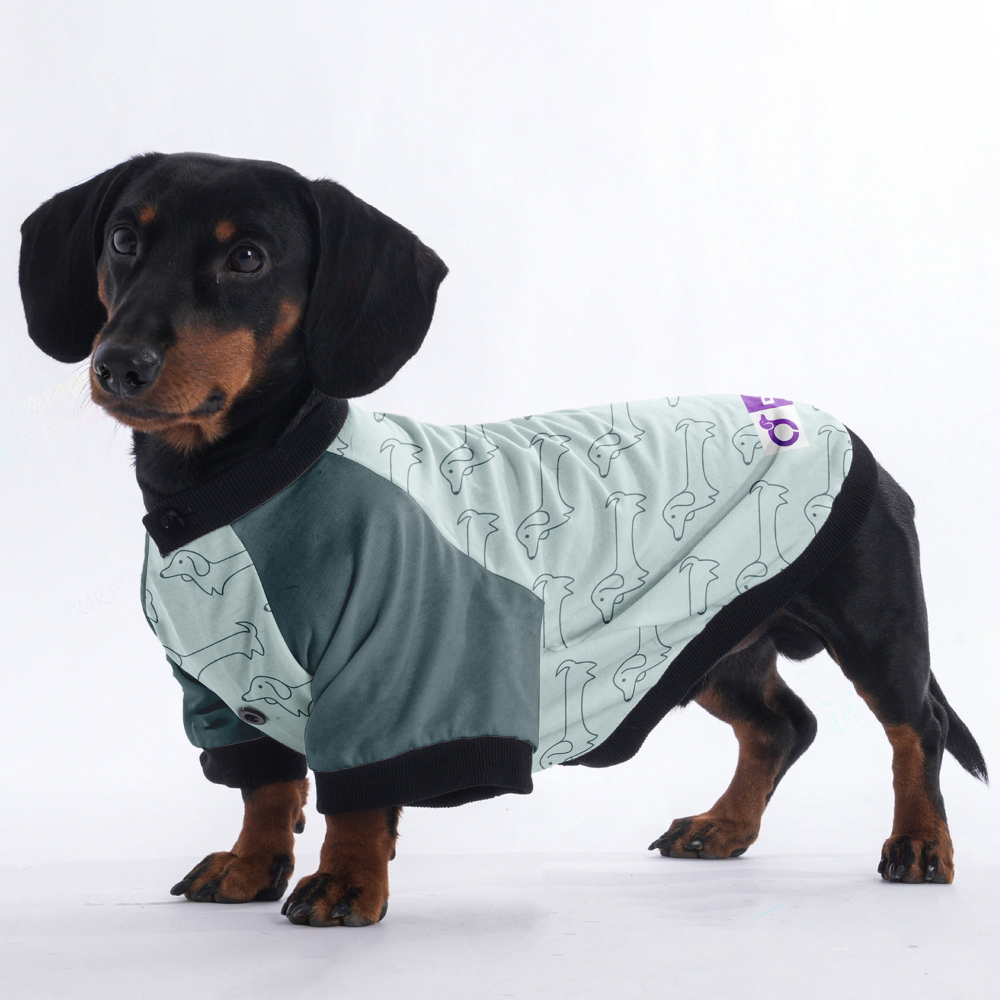 Penny - Jacket for Dachshunds