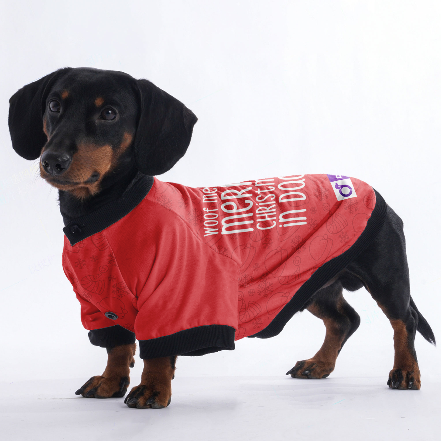 Woof means Merry Christmas in Dachshund - Jacket for Dachshunds