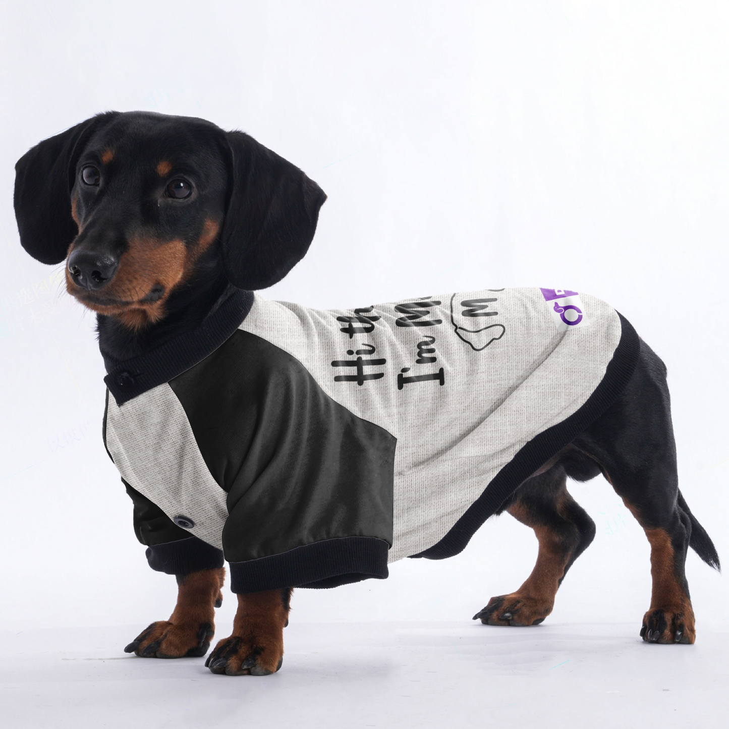 Personalized Doxie Jacket with Your Pup's Name