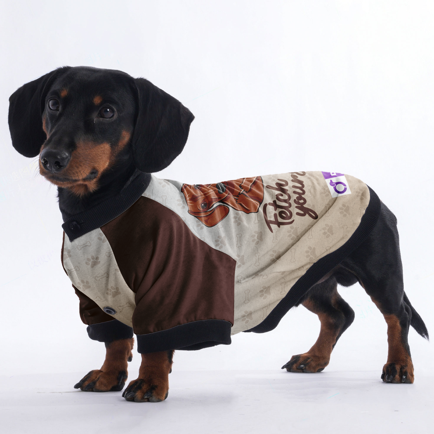 Fetch it yourself - Jacket for Dachshunds