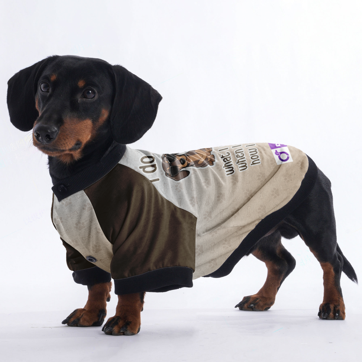 I do what i want,when i want, how i want - Jacket for Dachshunds