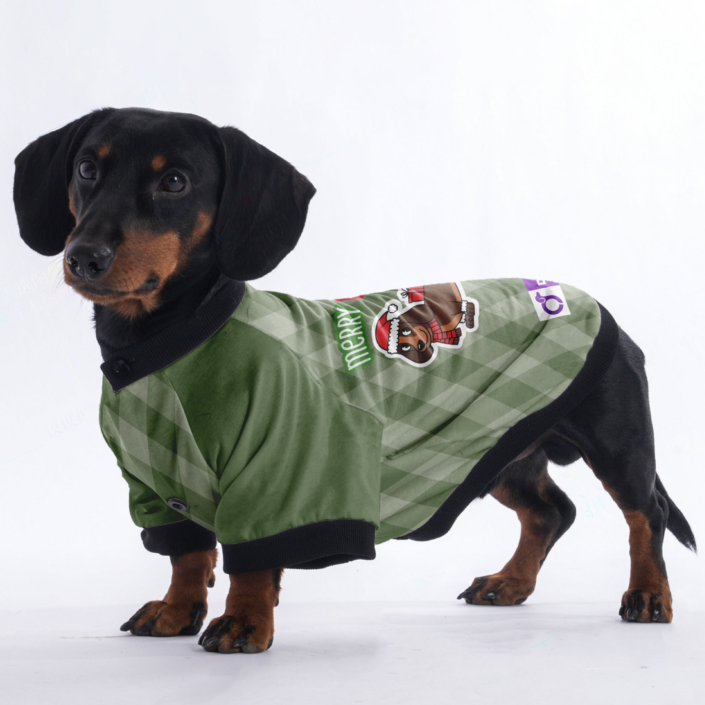 Merry Woofmas - Jacket for Dachshunds