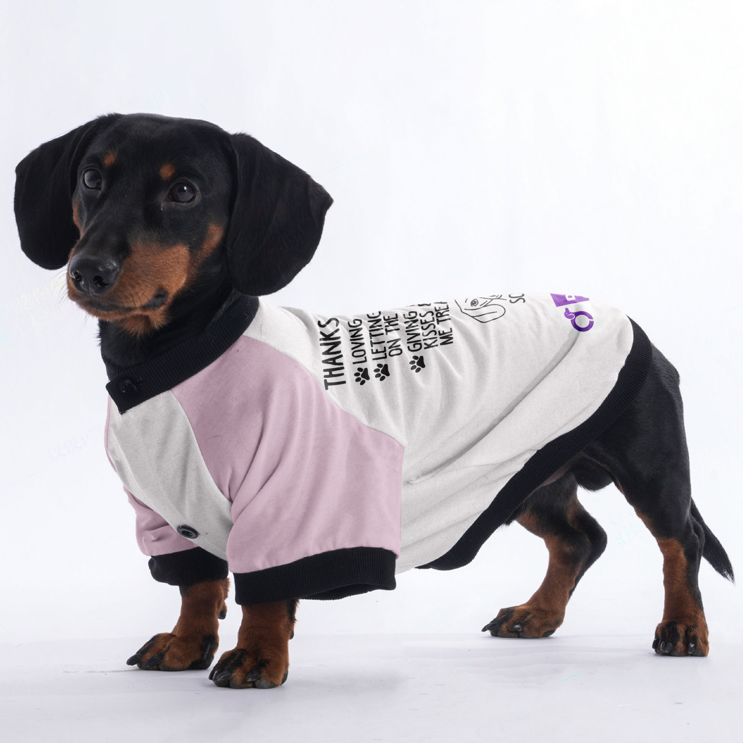 Customized Doxie Jacket with Your Dog's Name