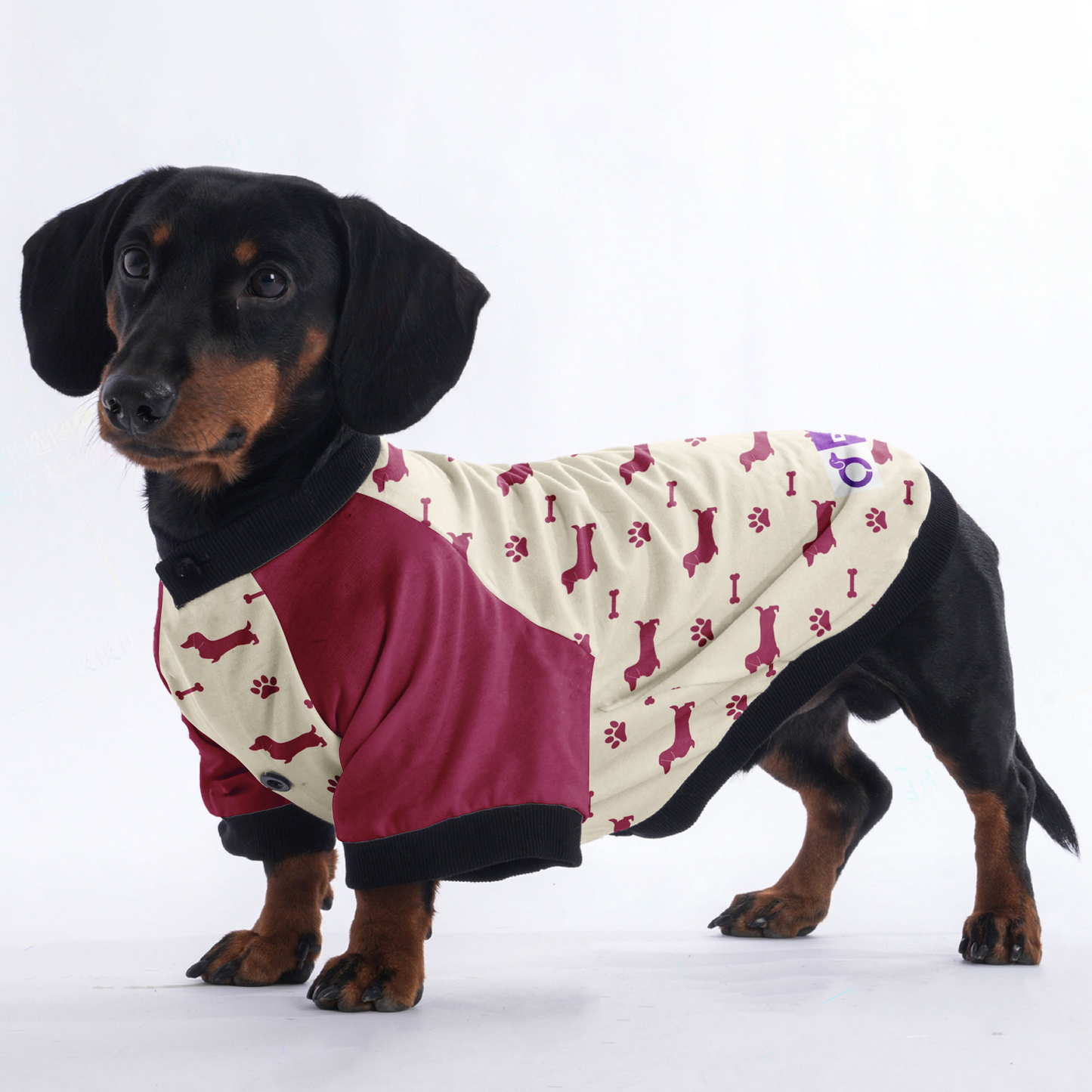 Lulu - Jacket for Dachshunds