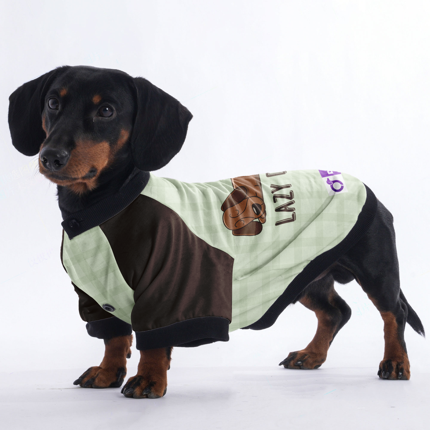 Lazy dog  - Jacket for Dachshunds