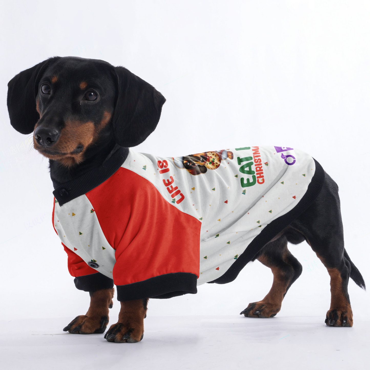 Life is short eat more christmas cookies - Jacket for Dachshunds