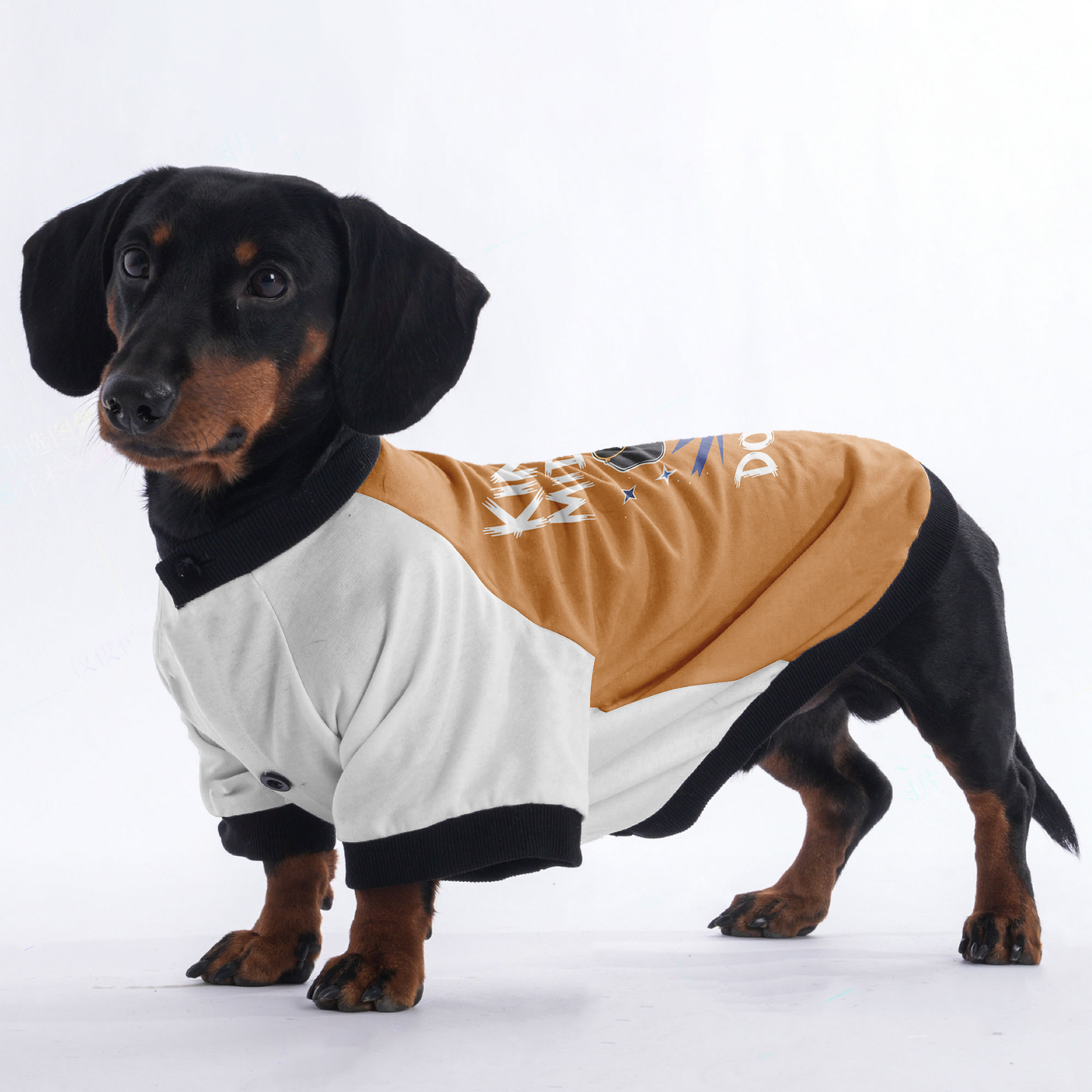 Maggie - Jacket for Dachshunds