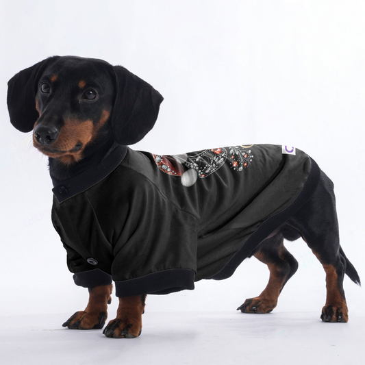 Luna - Jacket for Dachshunds