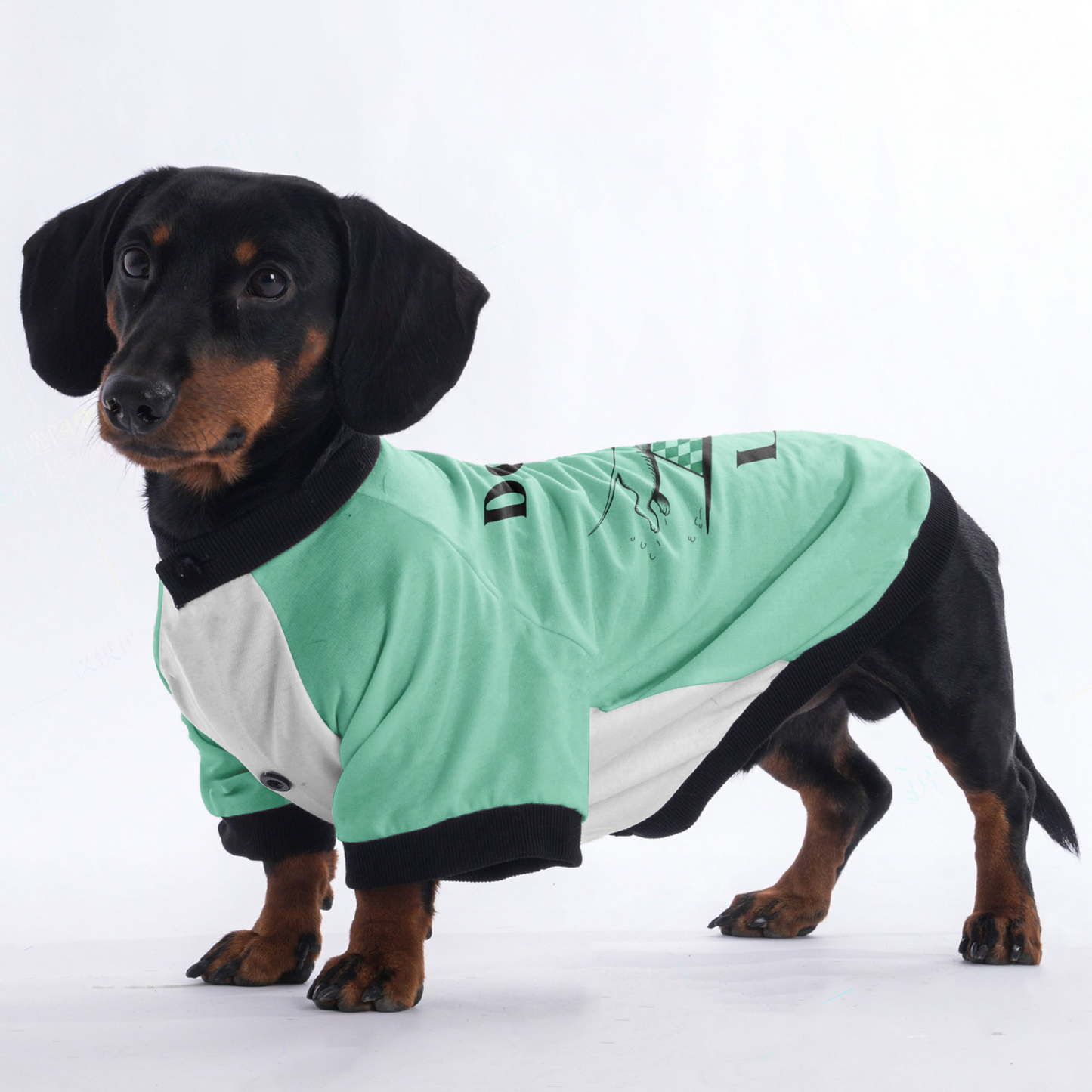 DOXIE LANCA - Jacket for Dachshunds