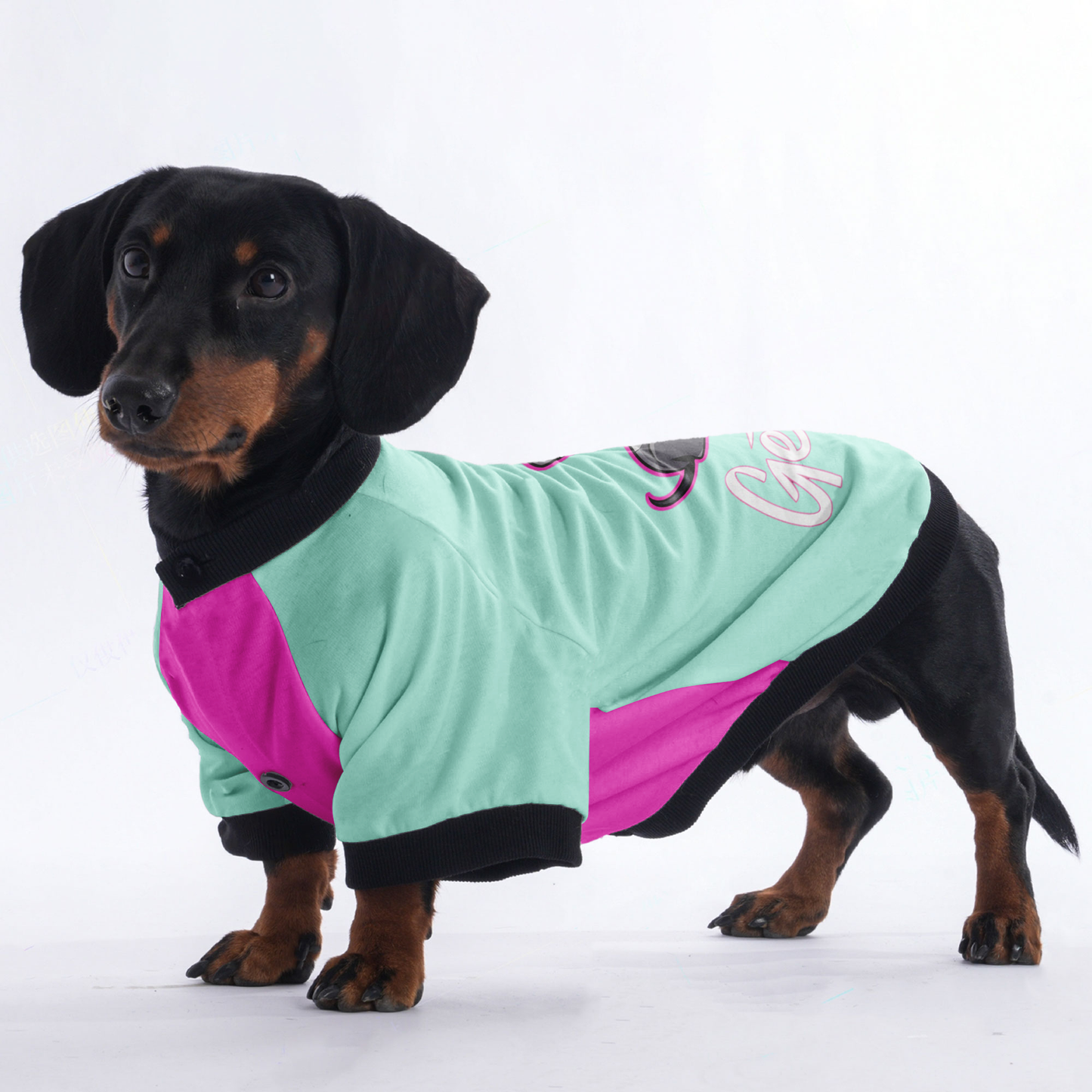 Willow - Jacket for Dachshunds