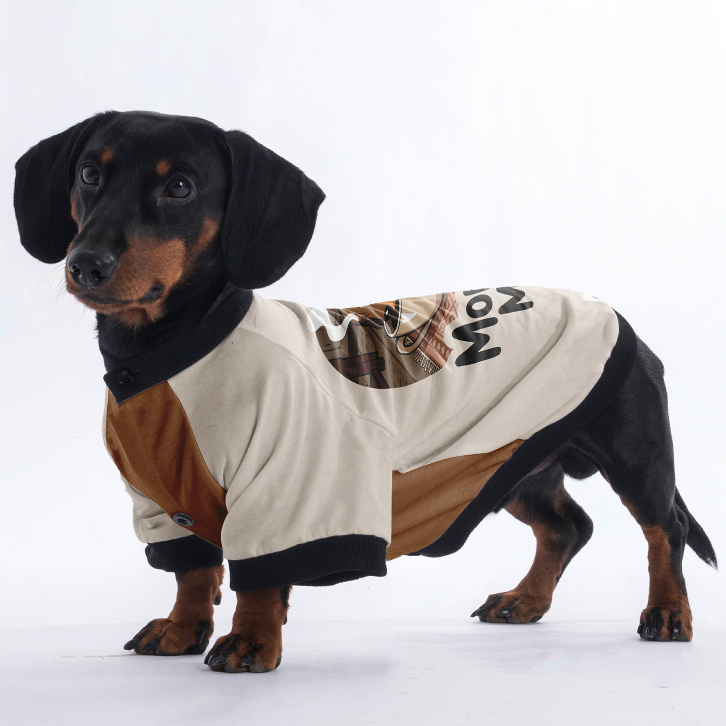 Murphy - Jacket for Dachshunds