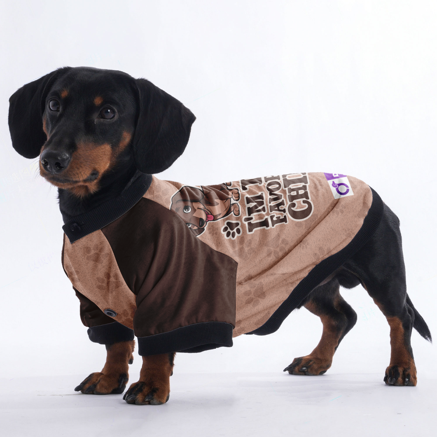 I'm the favorite child - Jacket for Dachshunds