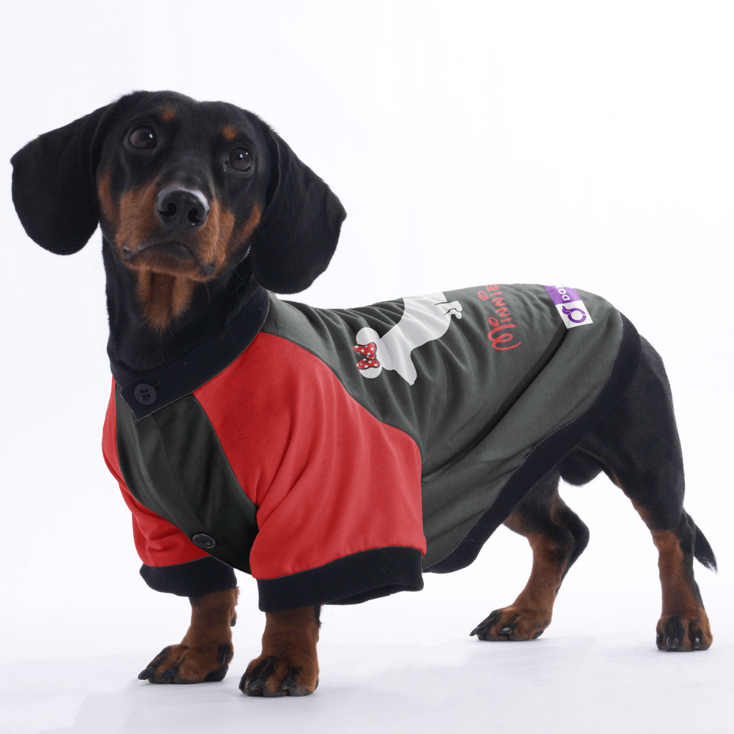 Minnie Doxie - Jacket for Dachshunds