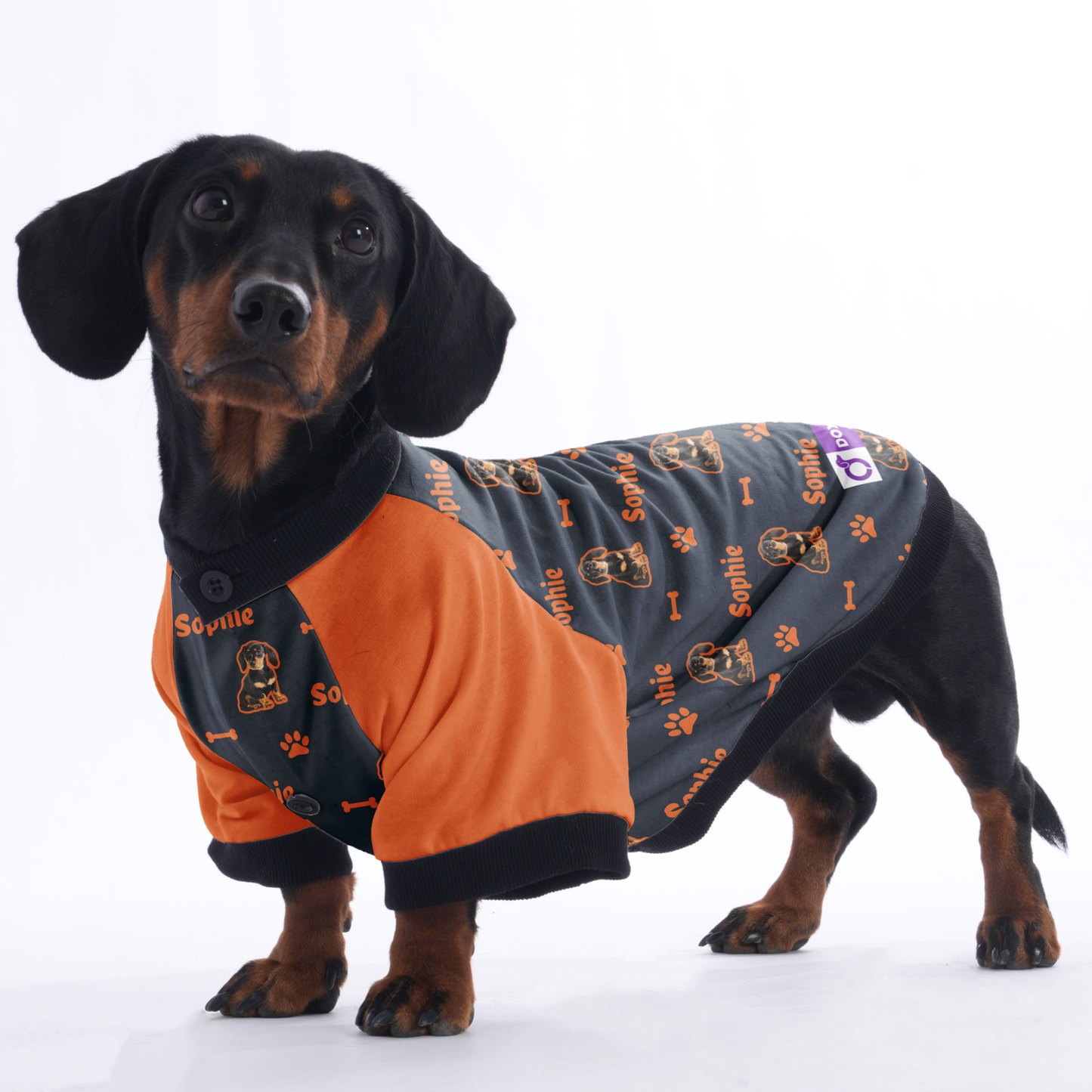 Customized Dachshund Jacket with Your Pet’s Name and Photo